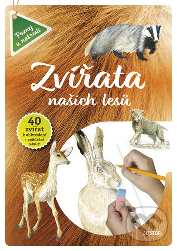 Kniha: Zvířata našich lesů (Junior). Junior, 2020 Kniha: Zvířata našich lesů (Junior). Junior, 2020