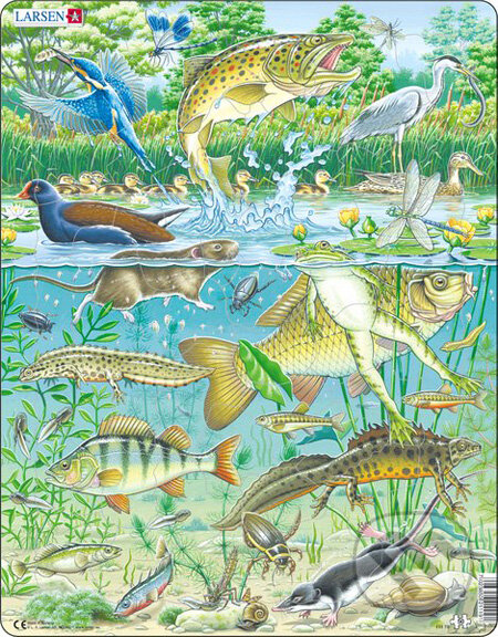 Puzzle: Jazierko (FH19) (Larsen). Larsen Puzzle: Jazierko (FH19) (Larsen). Larsen