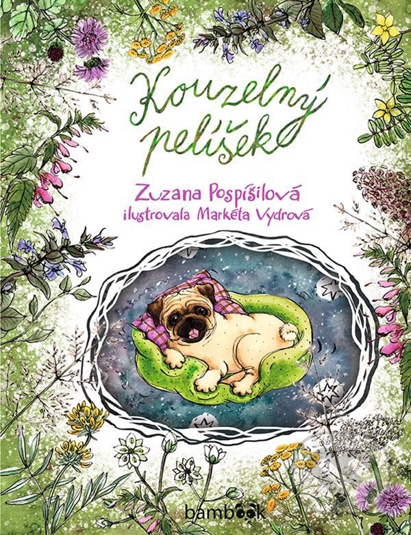 E-kniha: Kouzelný pelíšek (Zuzana Pospíšilová). Grada, 2020 E-kniha: Kouzelný pelíšek (Zuzana Pospíšilová). Grada, 2020