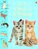 Kniha: Little Book of Cats and Kittens (Sarah Khan a Simon Tudhope). Usborne, 2009 Kniha: Little Book of Cats and Kittens (Sarah Khan a Simon Tudhope). Usborne, 2009