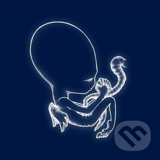 Hudební CD: Sigur Ros : Agaetis Byrjun LP (Hudobné albumy). Hudobné albumy, 2021 Hudební CD: Sigur Ros : Agaetis Byrjun LP (Hudobné albumy). Hudobné albumy, 2021