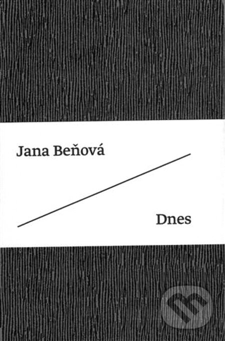 Kniha: Dnes (Jana Beňová). Artforum, 2010 Kniha: Dnes (Jana Beňová). Artforum, 2010