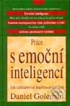 Kniha: Práce s emoční inteligencí (Daniel Goleman). Columbus, 1999 Kniha: Práce s emoční inteligencí (Daniel Goleman). Columbus, 1999