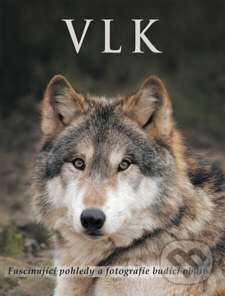 Kniha: Vlk (Shaun Ellis). Slovart CZ, 2010 Kniha: Vlk (Shaun Ellis). Slovart CZ, 2010