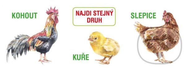 Kniha: Najdi stejný druh (Akcent). Akcent, 2021 Kniha: Najdi stejný druh (Akcent). Akcent, 2021