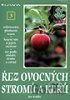 Řez ovocných stromů a keřů