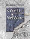 Problémy v sítích Novell NetWare