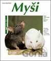 Myši