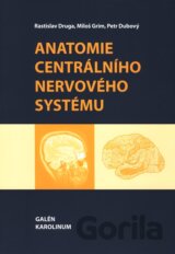 Anatomie centrálního nervového systému