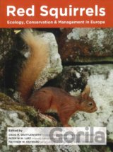 Red Squirrels