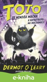 Toto je nindža mačka a katastrofa na mačkanici