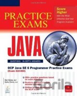 OCP Java SE 6 Programmer Practice Exams