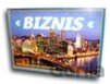 Biznis