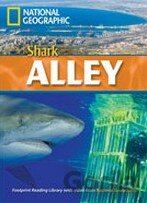 Shark Alley
