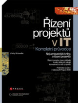 Řízení projektu v IT