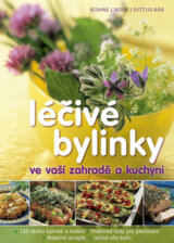 Léčivé bylinky ve vaší zahradě a kuchyni