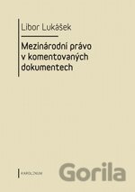 Mezinárodní právo v komentovaných dokumentech