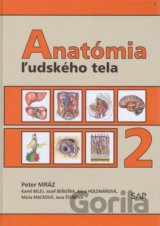 Anatómia ľudského tela 2
