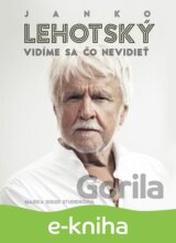 Janko Lehotský: Vidíme sa čo nevidieť