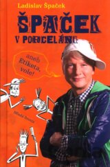 Špaček v porcelánu
