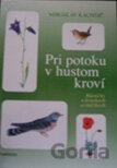 Pri potoku v hustom kroví