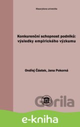 Konkurenční schopnost podniků: výsledky empirického výzkumu