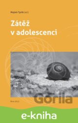 Zátěž v adolescenci