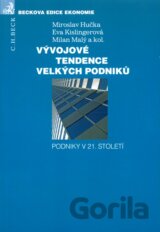 Vývojové tendence velkých podniků