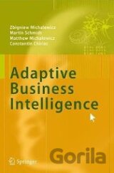 Adaptive Business Intelligence
