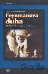Feynmanova duha