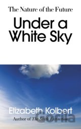 Under a White Sky