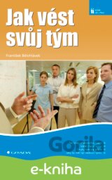 Jak vést svůj tým