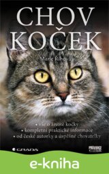 Chov koček