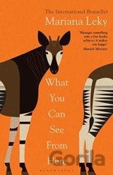 What You Can See From Here