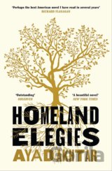 Homeland Elegies