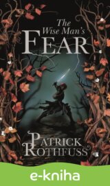 Wise Man's Fear