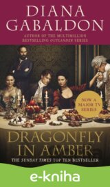Dragonfly In Amber