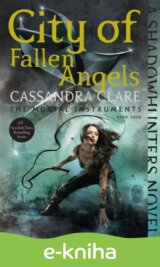 City of Fallen Angels