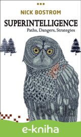 Superintelligence
