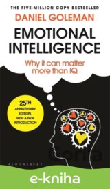 Emotional Intelligence