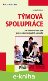 Týmová spolupráce