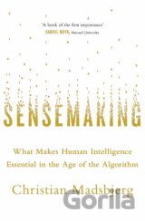 Sensemaking