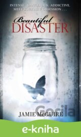 Beautiful Disaster