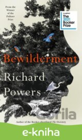 Bewilderment