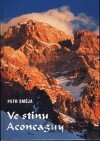 Ve stínu Aconcaguy
