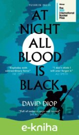 At Night All Blood is Black