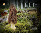 Houby Berounska a Hořovicka