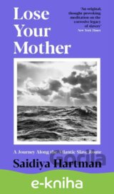 Lose Your Mother