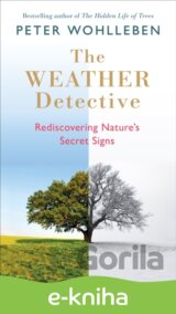 The Weather Detective