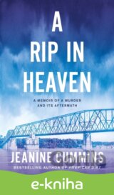 A Rip in Heaven